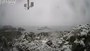 ./images/calvert/lookout/20250130/lookout20250130_093010M.jpg