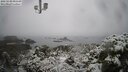 ./images/calvert/lookout/20250130/lookout20250130_095509M.jpg