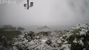 ./images/calvert/lookout/20250130/lookout20250130_104008M.jpg