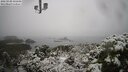 ./images/calvert/lookout/20250130/lookout20250130_105008M.jpg