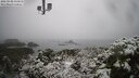 ./images/calvert/lookout/20250130/lookout20250130_110010M.jpg