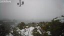./images/calvert/lookout/20250201/lookout20250201_143509M.jpg