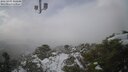 ./images/calvert/lookout/20250201/lookout20250201_145509M.jpg
