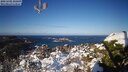 ./images/calvert/lookout/20250202/lookout20250202_105009M.jpg