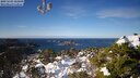 ./images/calvert/lookout/20250203/lookout20250203_122009M.jpg