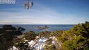 ./images/calvert/lookout/20250206/lookout20250206_124009M.jpg