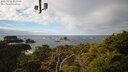 ./images/calvert/lookout/20250216/lookout20250216_132008M.jpg