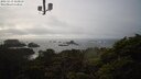 ./images/calvert/lookout/20250219/lookout20250219_153010M.jpg