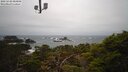 ./images/calvert/lookout/20250220/lookout20250220_084009M.jpg