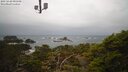 ./images/calvert/lookout/20250220/lookout20250220_090508M.jpg