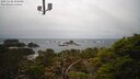 ./images/calvert/lookout/20250220/lookout20250220_101009M.jpg