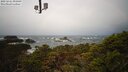 ./images/calvert/lookout/20250221/lookout20250221_091009M.jpg