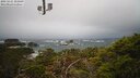 ./images/calvert/lookout/20250221/lookout20250221_101009M.jpg