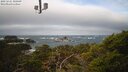 ./images/calvert/lookout/20250221/lookout20250221_105009M.jpg
