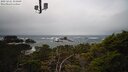 ./images/calvert/lookout/20250221/lookout20250221_141009M.jpg