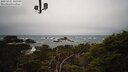 ./images/calvert/lookout/20250221/lookout20250221_142509M.jpg