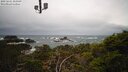 ./images/calvert/lookout/20250221/lookout20250221_153509M.jpg
