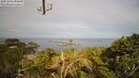 ./images/calvert/lookout/20250404/lookout20250404_094509M.jpg
