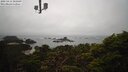 ./images/calvert/lookout/20250414/lookout20250414_101009M.jpg