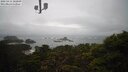 ./images/calvert/lookout/20250414/lookout20250414_122009M.jpg