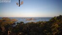 ./images/calvert/lookout/20250415/lookout20250415_072508M.jpg