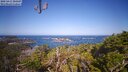 ./images/calvert/lookout/20250415/lookout20250415_101507M.jpg
