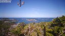 ./images/calvert/lookout/20250415/lookout20250415_104008M.jpg