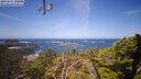 ./images/calvert/lookout/20250415/lookout20250415_121008M.jpg