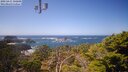 ./images/calvert/lookout/20250415/lookout20250415_135008M.jpg