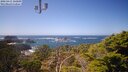 ./images/calvert/lookout/20250415/lookout20250415_140010M.jpg