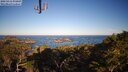 ./images/calvert/lookout/20250416/lookout20250416_075007M.jpg