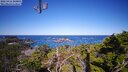 ./images/calvert/lookout/20250416/lookout20250416_104006M.jpg