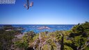 ./images/calvert/lookout/20250416/lookout20250416_104508M.jpg