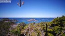 ./images/calvert/lookout/20250416/lookout20250416_105008M.jpg