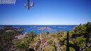 ./images/calvert/lookout/20250416/lookout20250416_110008M.jpg