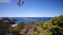 ./images/calvert/lookout/20250416/lookout20250416_135508M.jpg
