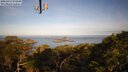 ./images/calvert/lookout/20250417/lookout20250417_075009M.jpg