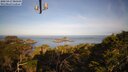 ./images/calvert/lookout/20250417/lookout20250417_080009M.jpg