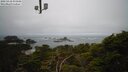 ./images/calvert/lookout/20250418/lookout20250418_073508M.jpg