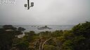 ./images/calvert/lookout/20250418/lookout20250418_094509M.jpg