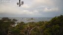 ./images/calvert/lookout/20250419/lookout20250419_075508M.jpg