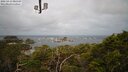 ./images/calvert/lookout/20250419/lookout20250419_080508M.jpg