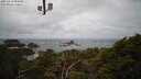 ./images/calvert/lookout/20250419/lookout20250419_081009M.jpg