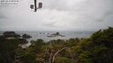 ./images/calvert/lookout/20250419/lookout20250419_083508M.jpg