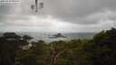 ./images/calvert/lookout/20250419/lookout20250419_091008M.jpg