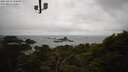 ./images/calvert/lookout/20250419/lookout20250419_102009M.jpg