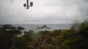 ./images/calvert/lookout/20250419/lookout20250419_103009M.jpg