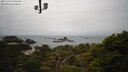 ./images/calvert/lookout/20250419/lookout20250419_130506M.jpg