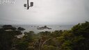 ./images/calvert/lookout/20250419/lookout20250419_131008M.jpg