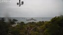 ./images/calvert/lookout/20250419/lookout20250419_133508M.jpg
